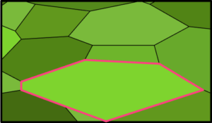 Polygons-image-44-US-1