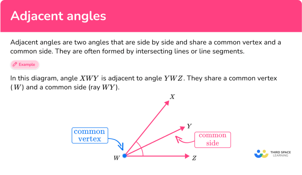 Adjacent Angles Math Steps Examples And Questions 5871