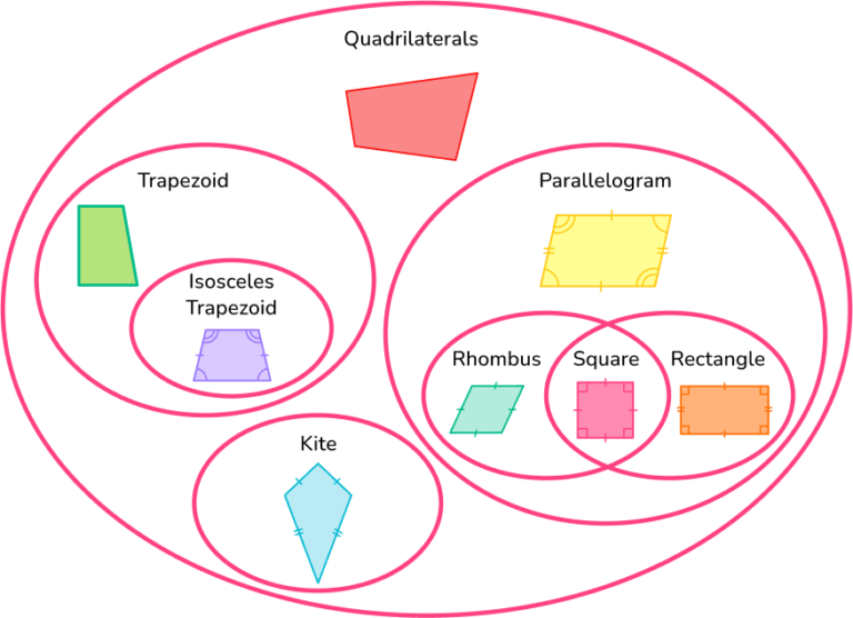 Quadrilateral - Math Steps, Definition, Examples & Questions