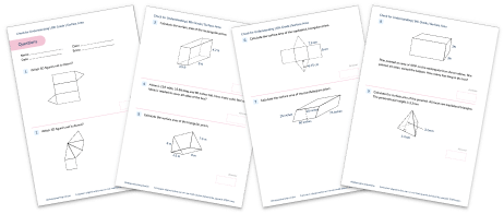 [FREE] Surface Area Check for Understanding Quiz (Grade 6)