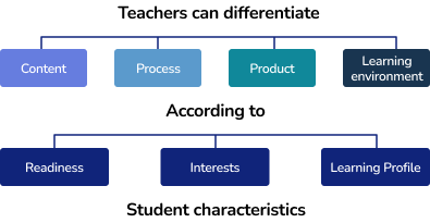 Differentiated instruction strategies 