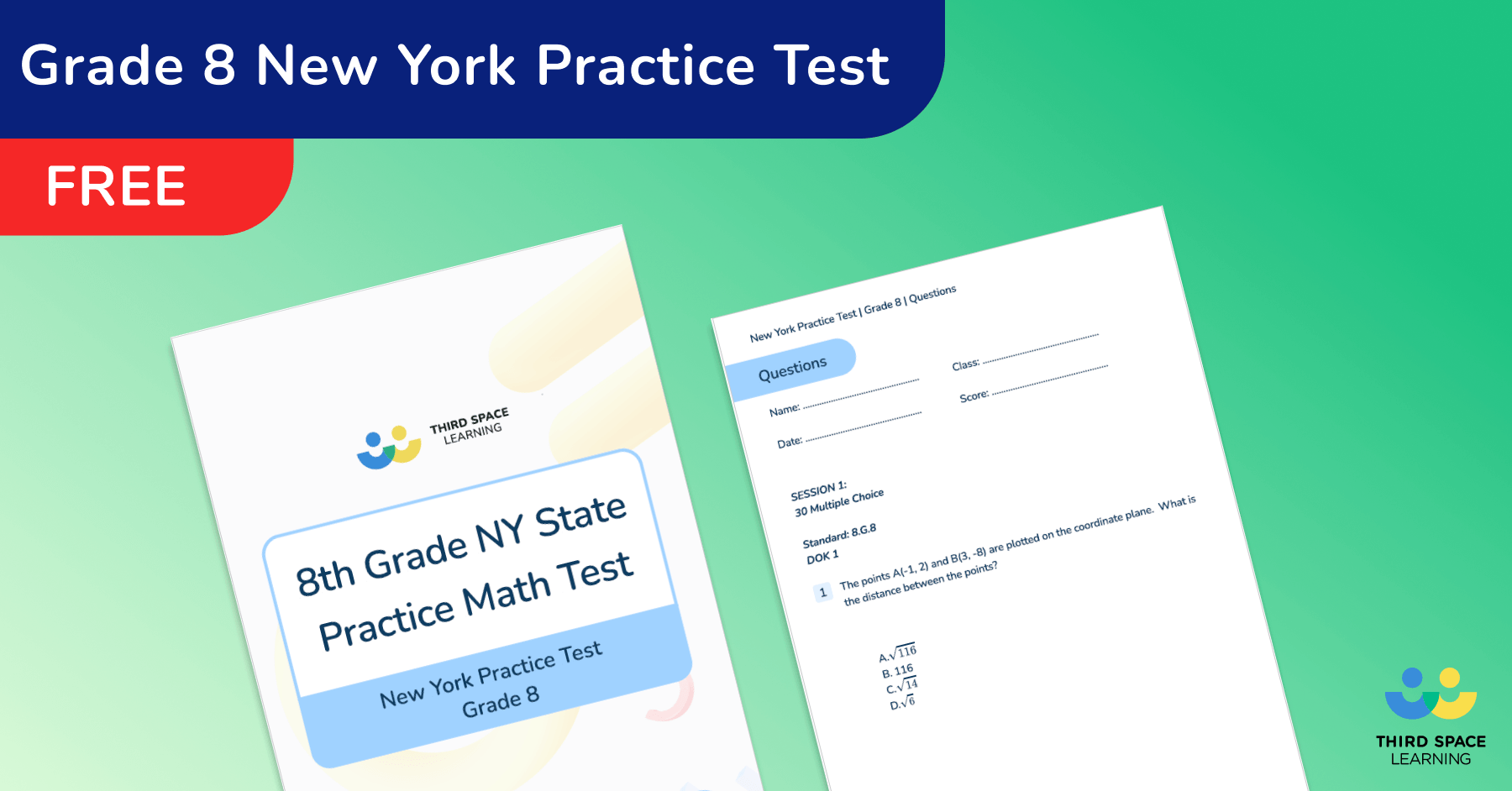 8th Grade New York NYSTP Practice Test