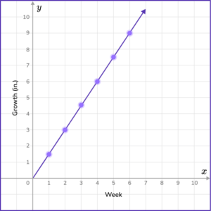 Input Output Tables - Math Steps, Examples & Questions