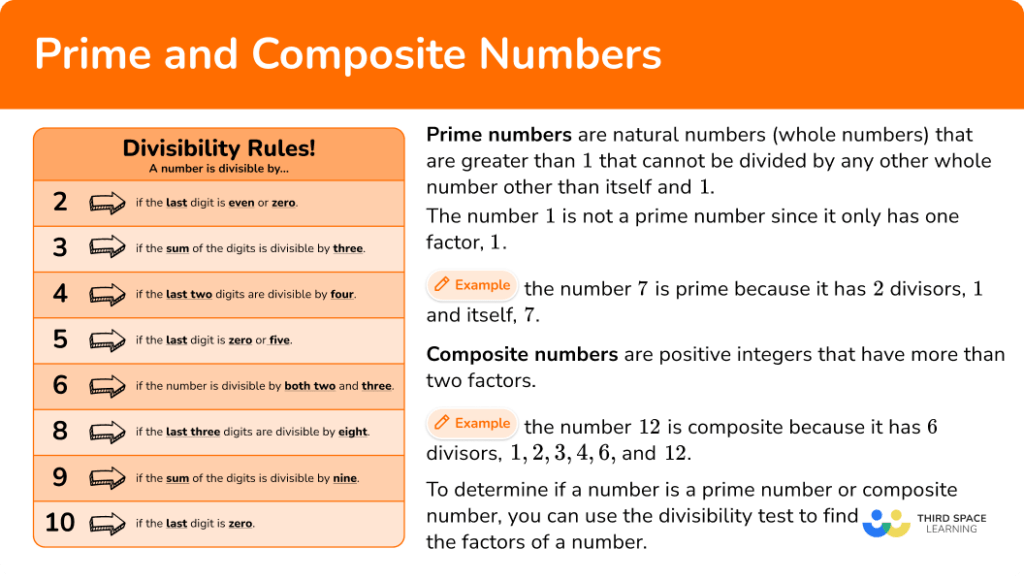 Prime & Composite Numbers Math Steps, Examples & Questions