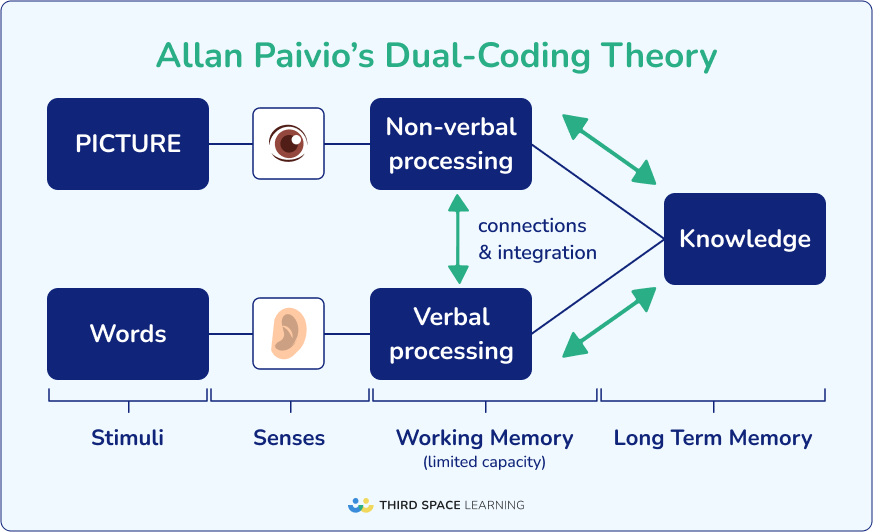 Allan Paivio's dual coding learning strategy 