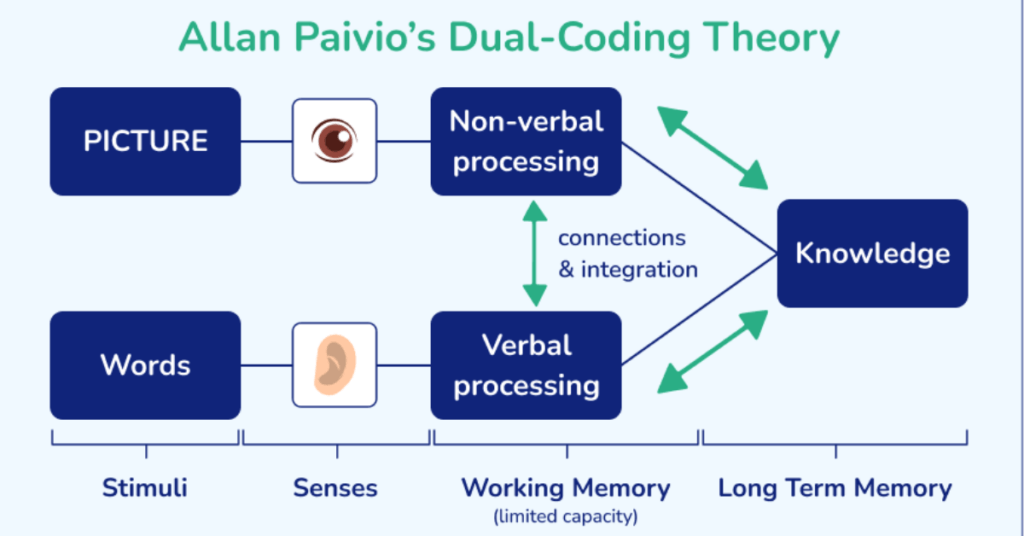 Allan Paivio's dual coding theory 