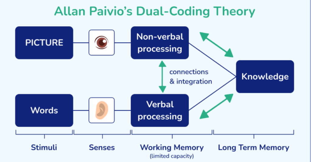 Dual Coding: A Teacher’s Guide To Improve Student Learning