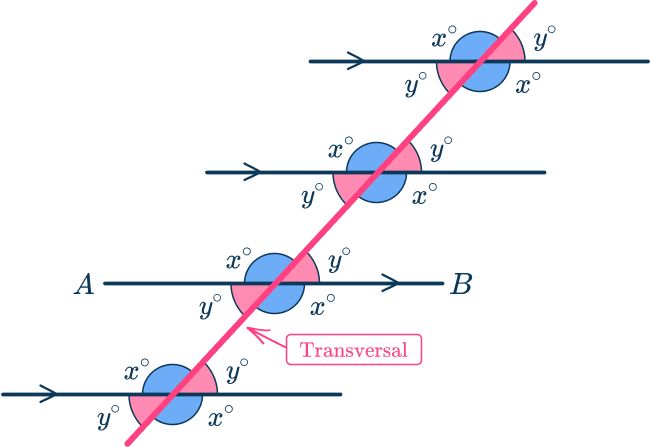 Parallel angles 7 US