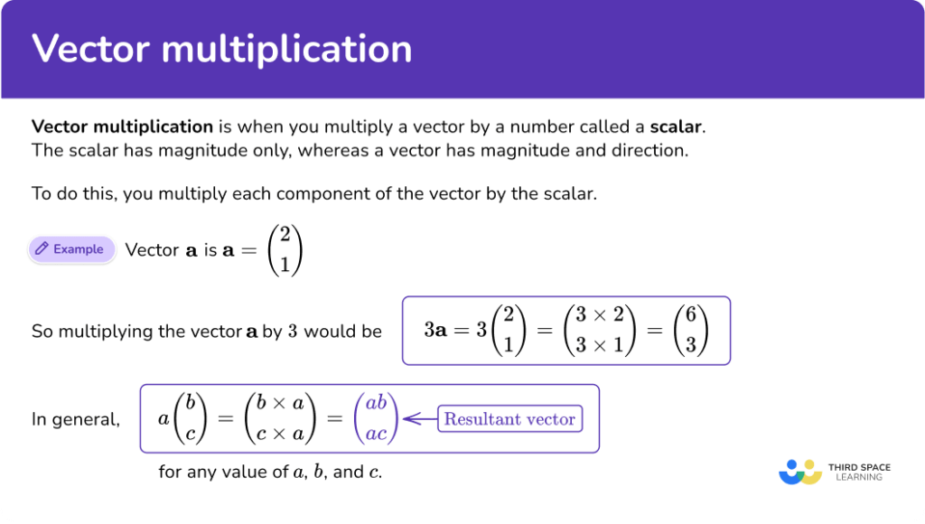 Vector Multiplication - Math Steps, Examples & Questions