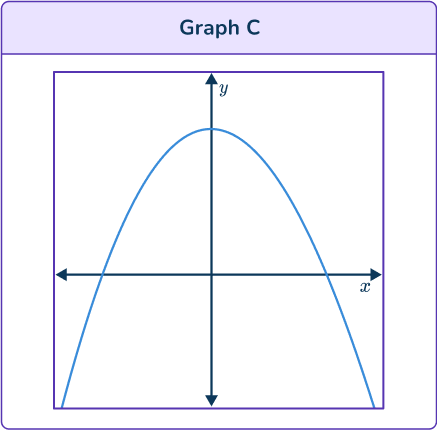 Cubic Function Graph 24 US C