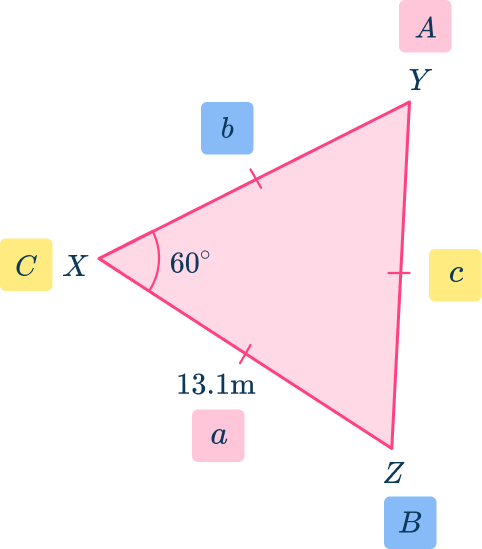 Trig Formula for Area of a Triangle - Math Steps, Examples & More!