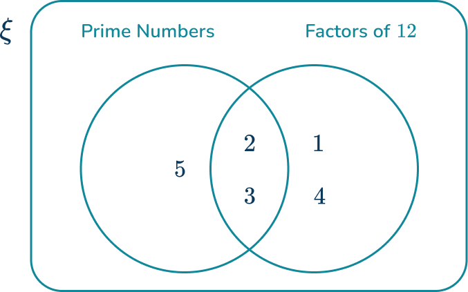 Venn Diagram 11 US