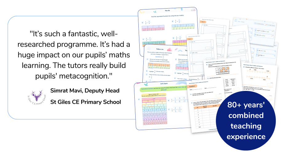 Primary Maths Tutoring Programmes