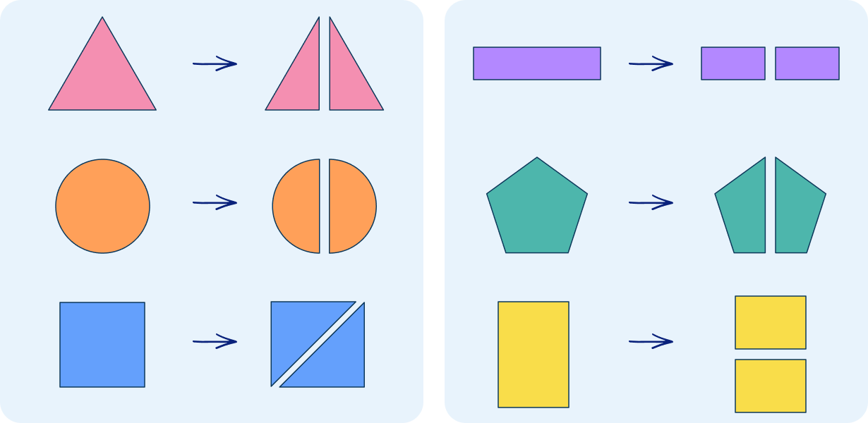 Different shapes divided into halves